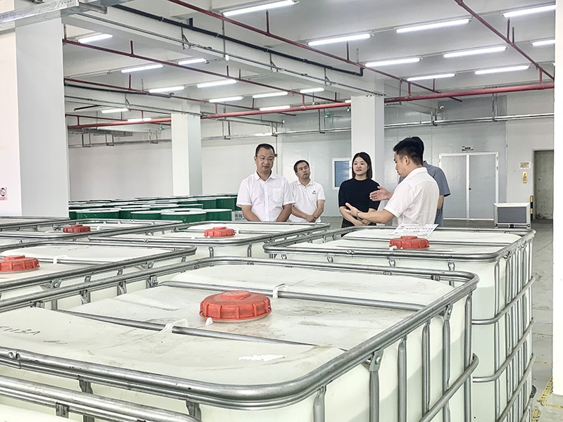 政企连心·共促发展|东莞市东城区政府领导莅临db真人新材参观指导